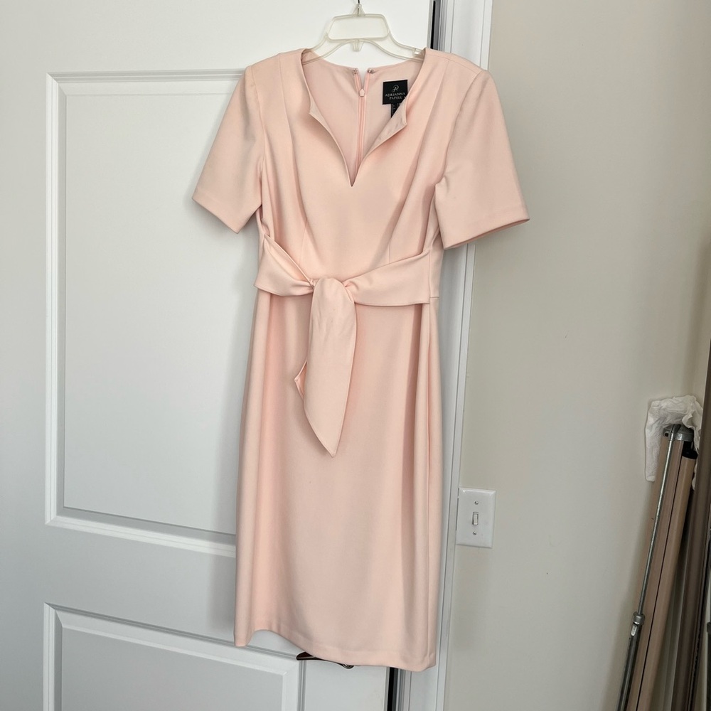 Adrianna Papell Pink Dress